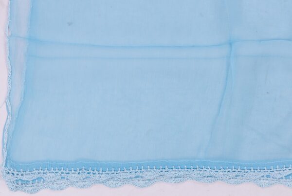 Elegant Lucknow Chikankari Arctic Blue Cotton Unstitched 3-Piece Kurti Set by Adrika